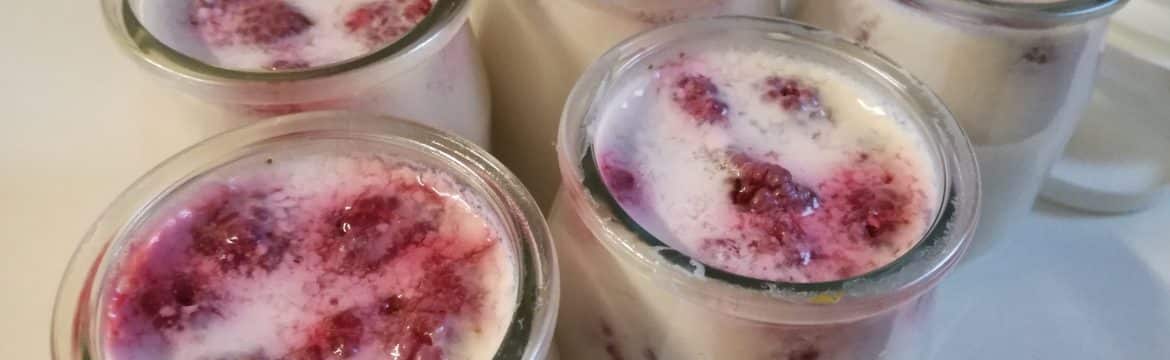 Recette des yaourts aux fruits fait maison
