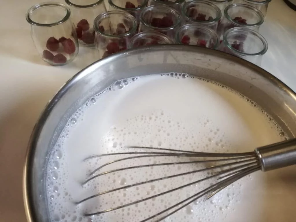 Recette des yaourts aux fruits fait maison, préparation