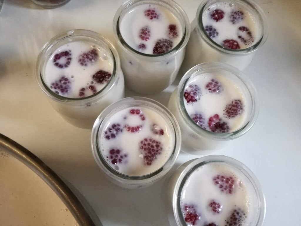 Recette des yaourts aux fruits fait maison, mettre dans les pots