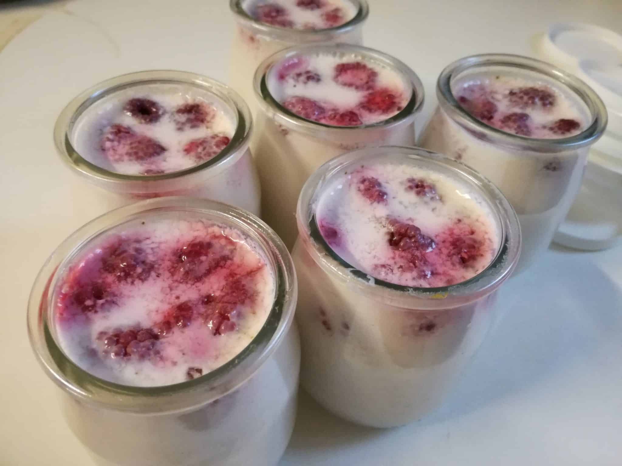 Recette des yaourts aux fruits fait maison
