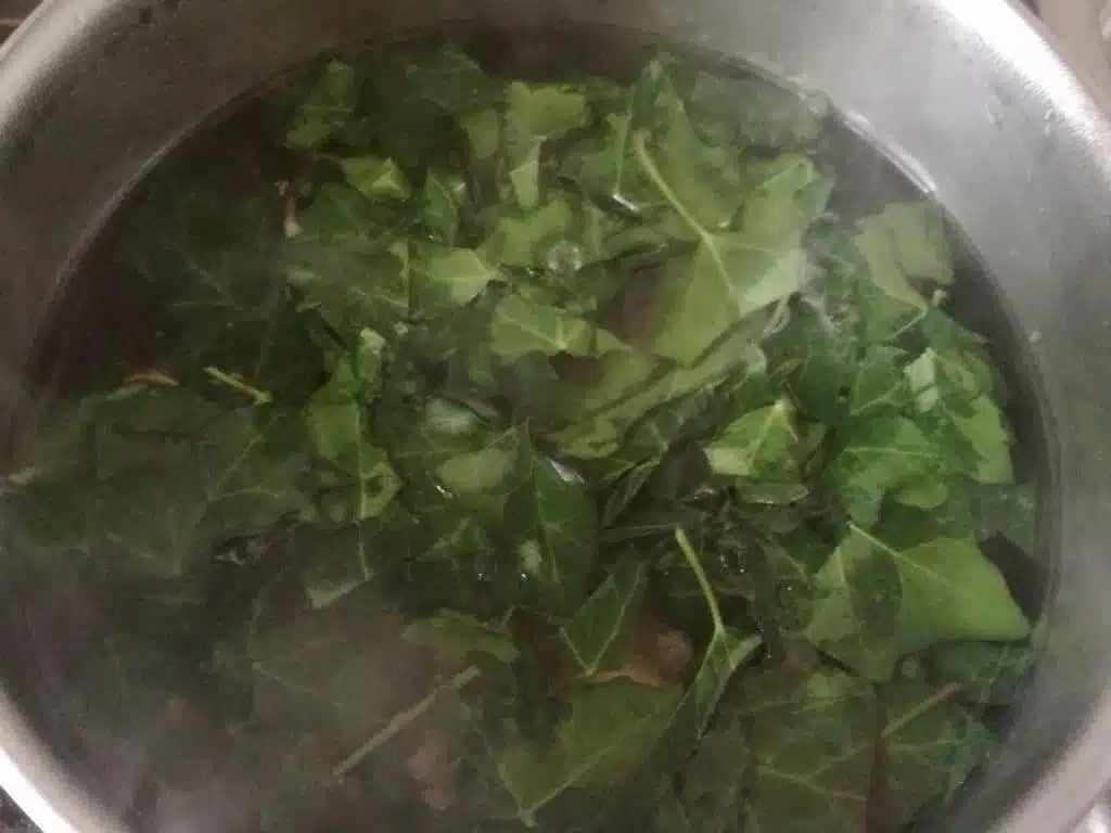 Infusez votre lierre pour faire votre lessive maison au lierre