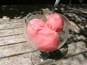 Recette sorbet nectarine verveine
